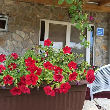 Apartment Mare Babin Dub Plocanski Bagian luar foto