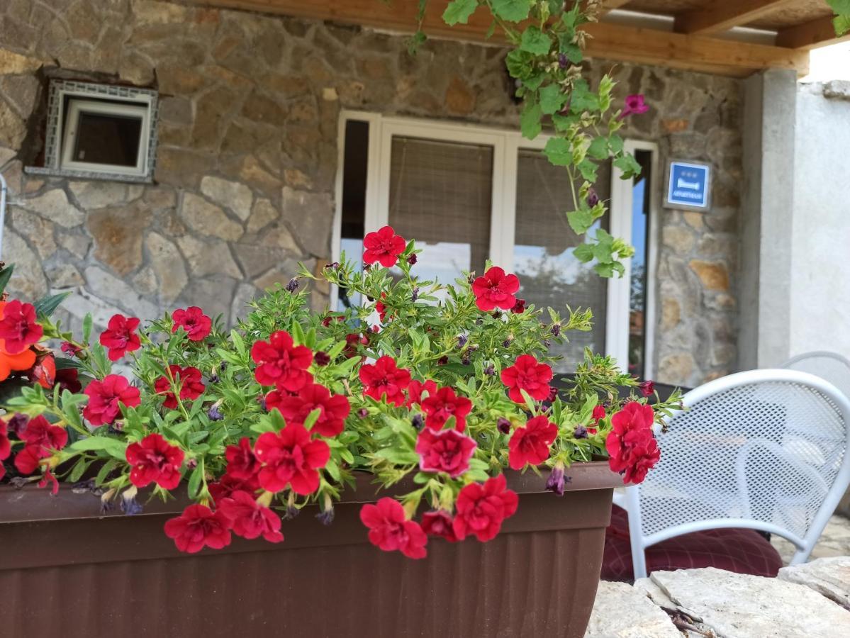 Apartment Mare Babin Dub Plocanski Bagian luar foto
