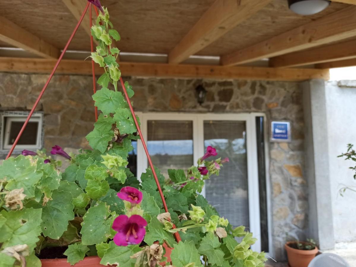 Apartment Mare Babin Dub Plocanski Bagian luar foto